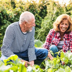 Garden, Real Estate Agent, Greater Toronto, Cathy Tse, Century 21 Atria